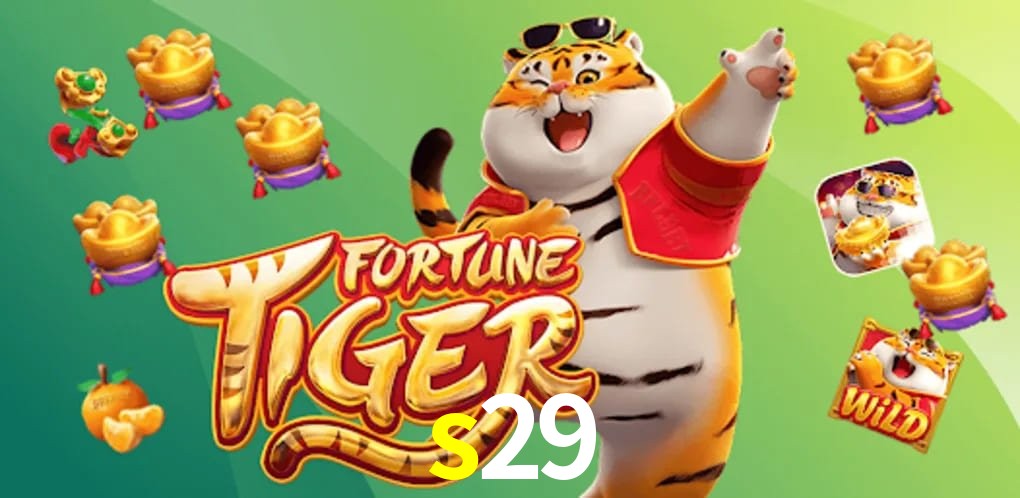 Bonus Features s29