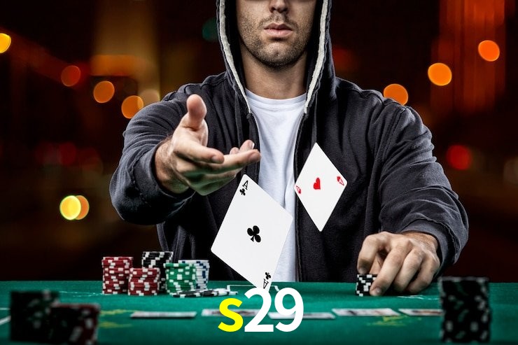 s29